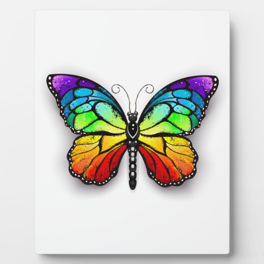 Plaque Photo Monarque papillon arc-en-ciel (Devant)