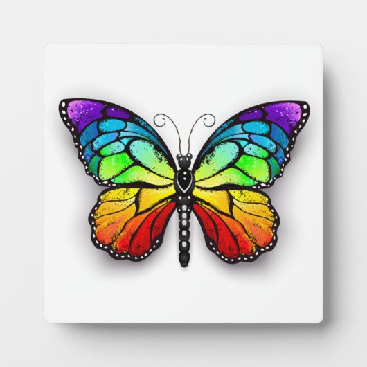 Plaque Photo Monarque papillon arc-en-ciel (Devant)