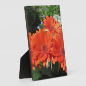 Plaque Photo Monogramme photo Orange Daisy (Côté)