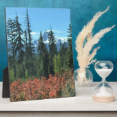 Plaque Photo Mont Washington à l'automne, OR (Côté)