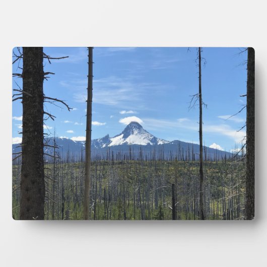 Plaque Photo Mont Washington, OR (Devant)