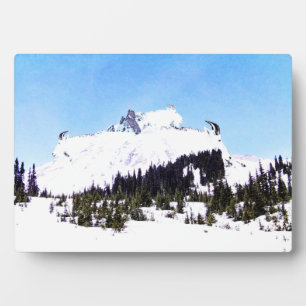 Plaque Photo Montagne de chèvres