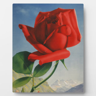 Plaque Photo Montreux vintage Rose rouge Suisse Lac Léman