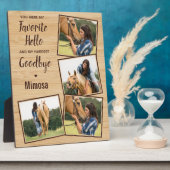 Plaque Photo Monument aux chevaux 4 Photo (Côté)