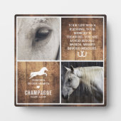 Plaque Photo Monument commémoratif Rustic Horse (Devant)