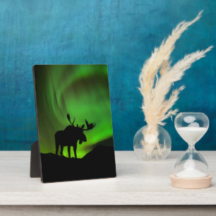 Plaque Photo Moose with Green Aurora Borealis, Alaska