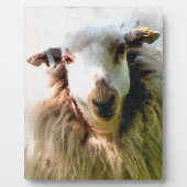 PLAQUE PHOTO MOQUETTE (Devant)