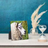 PLAQUE PHOTO MOQUETTE (Insitu)