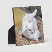 PLAQUE PHOTO MOQUETTE (Recto)