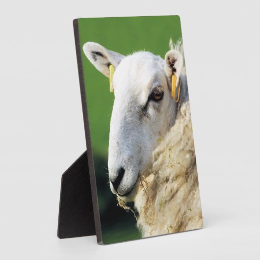 PLAQUE PHOTO MOQUETTE (Côté)