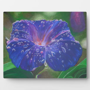 Plaque Photo Morning Glory (Ipomoea Purpurea) Petals et Dew Dr.
