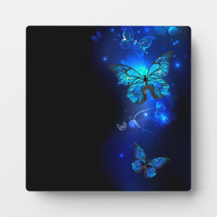 Plaque Photo Morpho Butterfly in the Dark Background