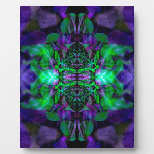 Plaque Photo Motif de fleurs Kaleidoscope (Devant)
