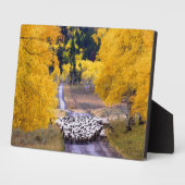 Plaque Photo Mouton sur Country Road (Côté)