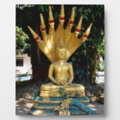 Plaque Photo Mucalinda (Devant)