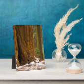 Plaque Photo Mule Deer (Côté)