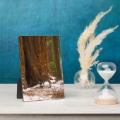 Plaque Photo Mule Deer (Côté)