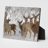 Plaque Photo Mule Deer Wyoming (Côté)