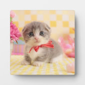 Plaque Photo Munchkin Kitten (Devant)