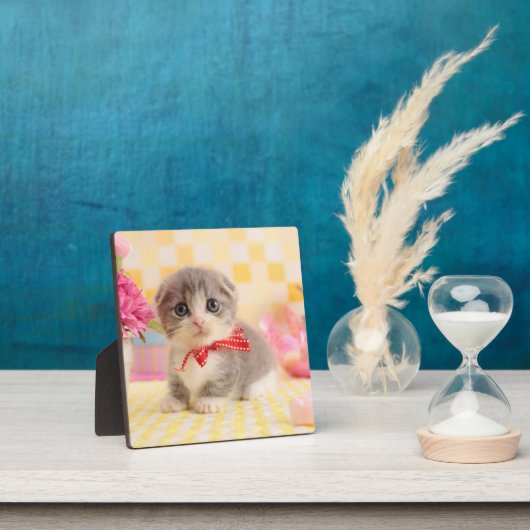 Plaque Photo Munchkin Kitten (Insitu)