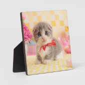Plaque Photo Munchkin Kitten (Recto)