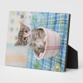 Plaque Photo Munchkin Kitten Avec Joli Ruban (Côté)