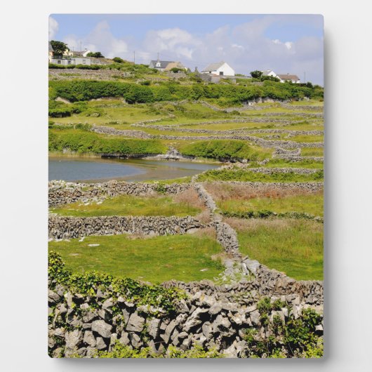 Plaque Photo Murs de pierre d'Irlande (Devant)