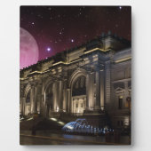 Plaque Photo Musée métropolitain Spacey (Devant)