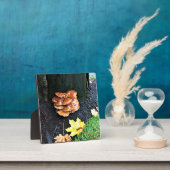 Plaque Photo Mushrooms on a tree, Oregon (Insitu)