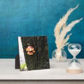 Plaque Photo Mushrooms on a tree, Oregon (Insitu)