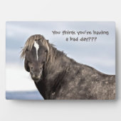 Plaque Photo Mustang sauvage (Devant)