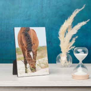 Plaque Photo Mustangs sauvages ou chevaux Banker