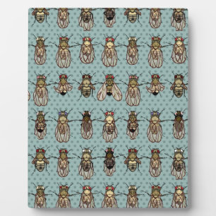 Plaque Photo mutants de Drosophila