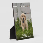 Plaque Photo My Dog Photo (Côté)