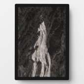 Plaque Photo Narada Falls, WA (Devant)