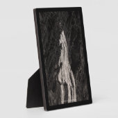 Plaque Photo Narada Falls, WA (Côté)