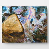 Plaque Photo nature abstraite eau morte (Devant)