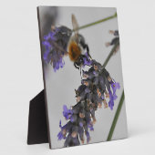 Plaque Photo Natures de merveilleux travailleurs (Côté)