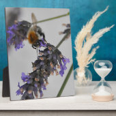 Plaque Photo Natures de merveilleux travailleurs (Côté)