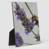 Plaque Photo Natures de merveilleux travailleurs (Côté)