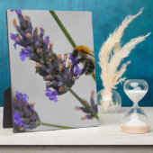 Plaque Photo Natures de merveilleux travailleurs (Côté)