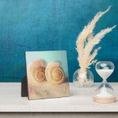 Plaque Photo Nautilus Shells (Insitu)