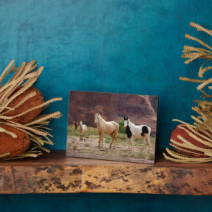 Plaque Photo Navajo Horses Run Free sur le Canyon Floor