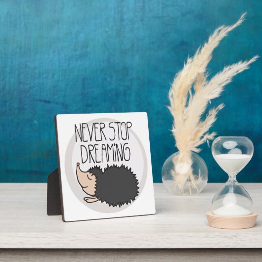 Plaque Photo Ne jamais cesser de rêver (Insitu)