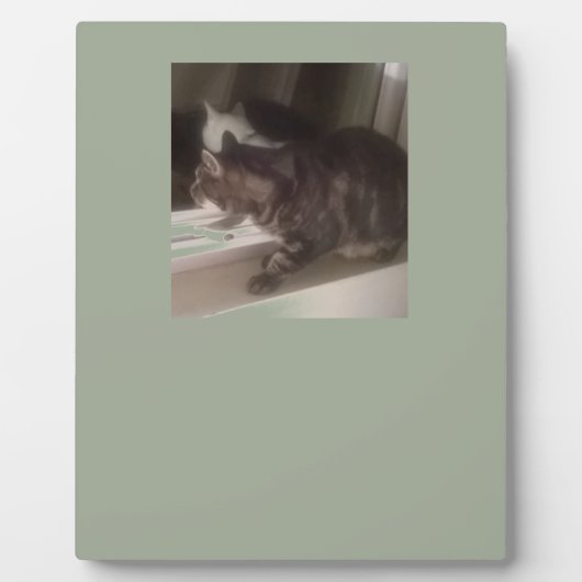 Plaque Photo Ne te parle pas Dave (Devant)