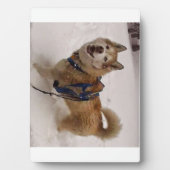 Plaque Photo Neige max avec l'Eau (5x7) (Devant)