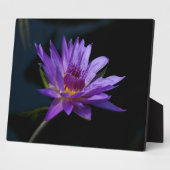 Plaque Photo Nénuphar Lotus (Côté)