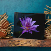 Plaque Photo Nénuphar Lotus (Côté)