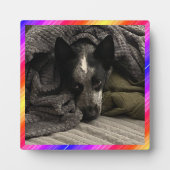 Plaque photo Neon Bordure HAMbWG (Devant)