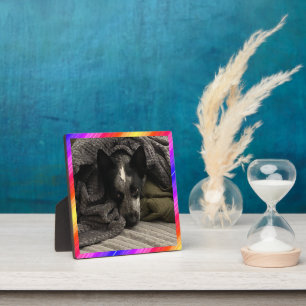 Plaque photo Neon Bordure HAMbWG